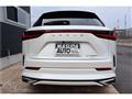 2025 Lexus NX