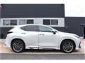 2025 Lexus NX
