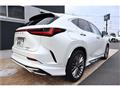 2025 Lexus NX