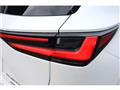 2025 Lexus NX