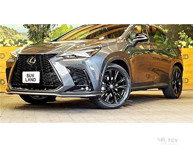 2025 Lexus NX