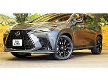 2025 Lexus NX