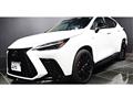 2025 Lexus NX
