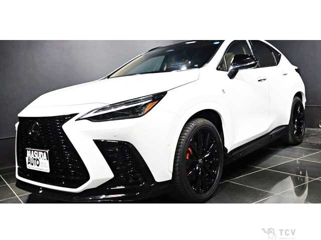 2025 Lexus NX