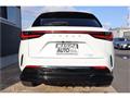 2025 Lexus NX