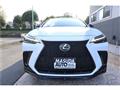 2025 Lexus NX