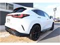 2025 Lexus NX