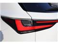 2025 Lexus NX