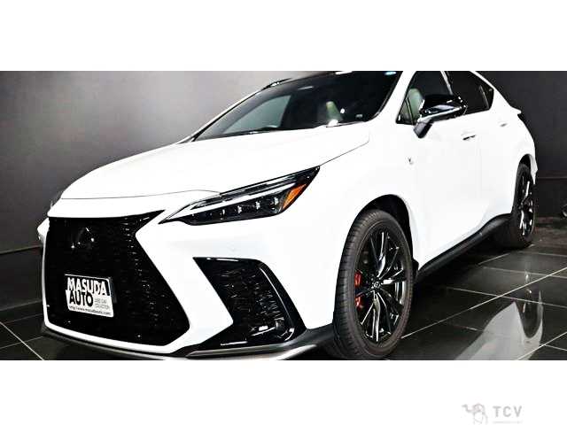 2025 Lexus NX