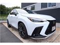 2025 Lexus NX
