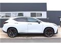 2025 Lexus NX