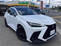 2025 Lexus NX
