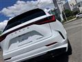 2025 Lexus NX
