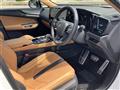 2025 Lexus NX