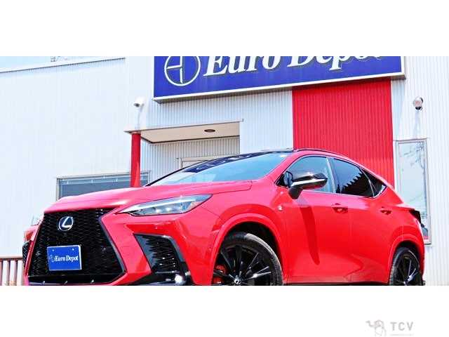 2025 Lexus NX
