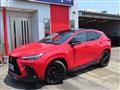 2025 Lexus NX