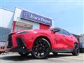 2025 Lexus NX
