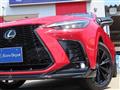 2025 Lexus NX