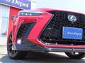 2025 Lexus NX