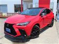 2025 Lexus NX