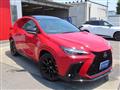 2025 Lexus NX