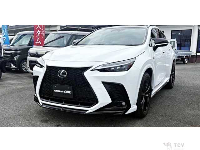 2025 Lexus NX