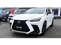 2025 Lexus NX
