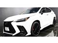 2025 Lexus NX