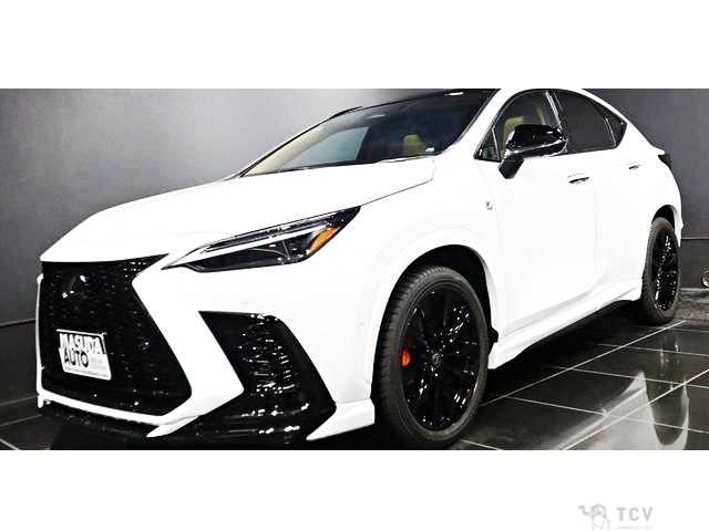 2025 Lexus NX