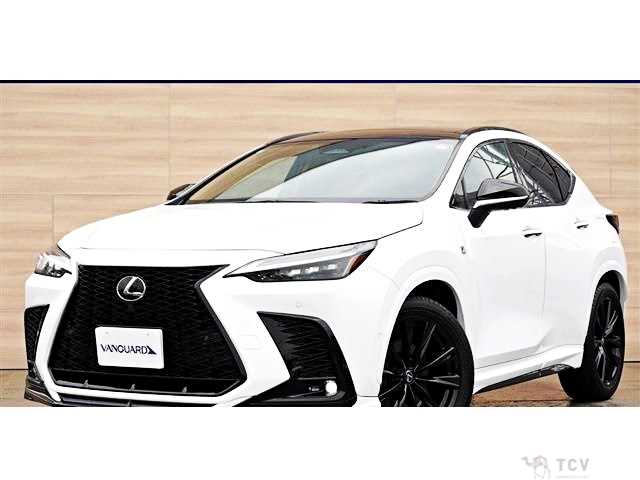 2025 Lexus NX