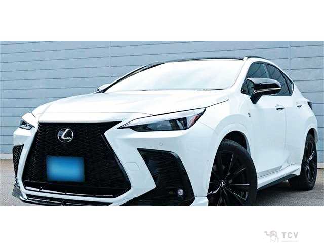 2025 Lexus NX