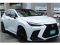 2025 Lexus NX