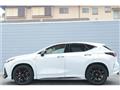 2025 Lexus NX