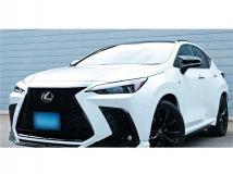 2025 Lexus NX