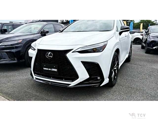 2025 Lexus NX
