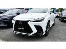 2025 Lexus NX