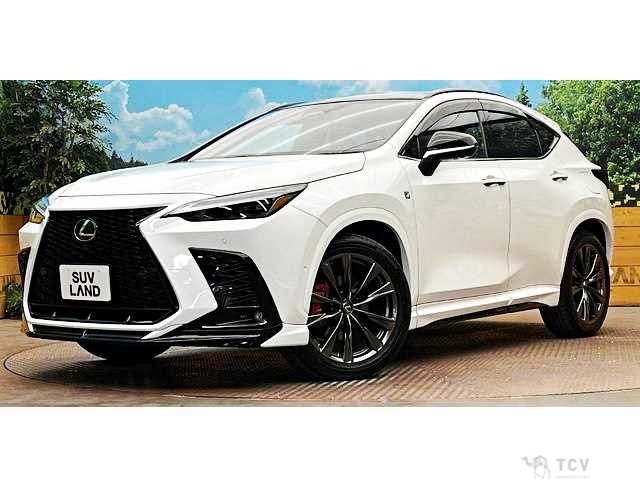 2025 Lexus NX