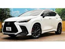 2025 Lexus NX