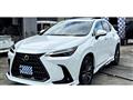 2025 Lexus NX