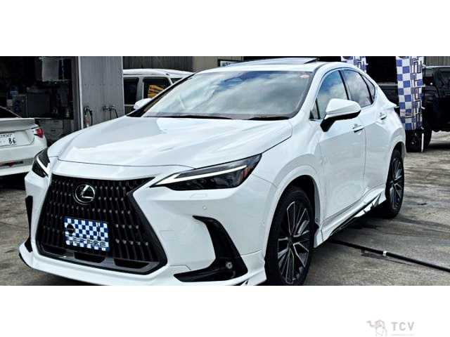 2025 Lexus NX