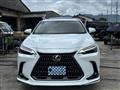 2025 Lexus NX