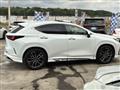2025 Lexus NX