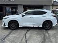 2025 Lexus NX