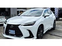 2025 Lexus NX