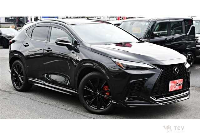2025 Lexus NX