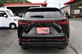 2025 Lexus NX