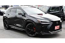 2025 Lexus NX