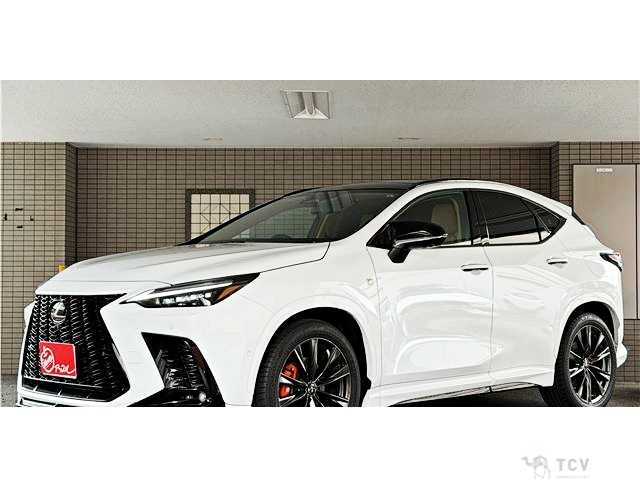 2025 Lexus NX