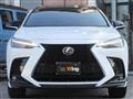 2025 Lexus NX
