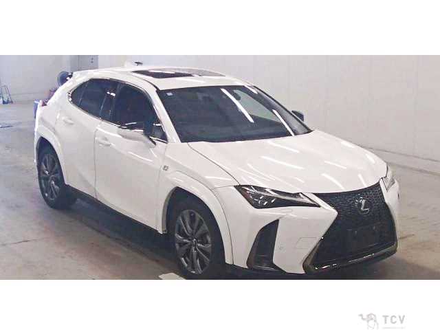 2018 Lexus Other